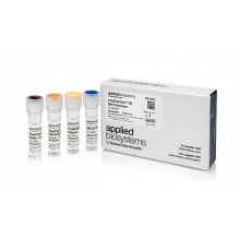 ДНК-полимераза AmpliTaq Gold 360 DNA Polymerase, Thermo FS